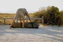 Lade das Bild in den Galerie-Viewer, action_shot