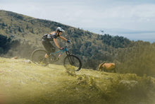 Carica l'immagine nel visualizzatore di Gallery, ION Bikeshorts Traze X WMS 2021