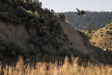 Load image into Gallery viewer, ION MTB Shorts Scrub Men 2024