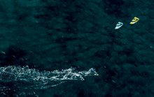 Load image into Gallery viewer, Duotone Evo SLS 2022 2022