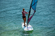 Load image into Gallery viewer, Fanatic Gecko HRS Daggerboard/Soft Top 2021