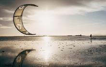 Load image into Gallery viewer, Duotone Gonzales 2022