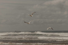 Carica l'immagine nel visualizzatore di Gallery, action_shot