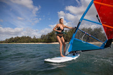Carica l'immagine nel visualizzatore di Gallery, Fanatic Gecko HRS Daggerboard Soft Top 2020