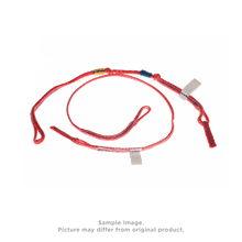 Load image into Gallery viewer, Duotone Backpigtails (pair) Dice 2018