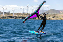 Lade das Bild in den Galerie-Viewer, Fanatic Stingray Foil LTD 2021