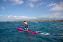 Lade das Bild in den Galerie-Viewer, Fanatic Falcon Carbon 2024