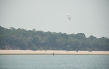 Load image into Gallery viewer, action_shot