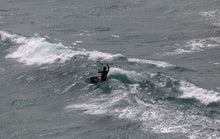 Load image into Gallery viewer, action_shot