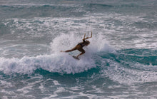 Cargar imagen en el visor de la galería, action_shot