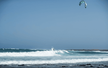 Load image into Gallery viewer, Duotone Wam SLS 2021