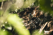 Lade das Bild in den Galerie-Viewer, MTB Shorts Traze Amp AFT Herren